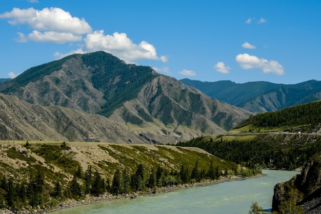 As montanhas estão cobertas de árvores verdes Pinheiros Árvores de Natal nas montanhas Natureza do Canadá Natureza da Rússia A natureza dos Estados Unidos