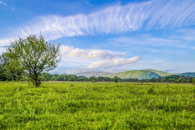 As montanhas Green Mountain Sky Beauty