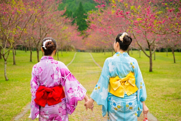 As mulheres chinesas asiáticas viajam para o Japão vestindo roupas tradicionais de quimono indo para as ruas da cerejeira florescendo e andando de mãos dadas nas férias da viagem à Ásia.