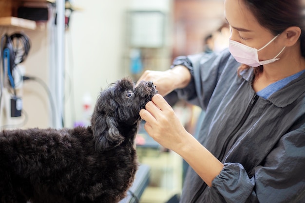 As mulheres estão limpando um cachorro.