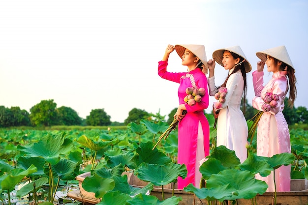 As mulheres vietnamitas estão recolhendo o loto no por do sol.