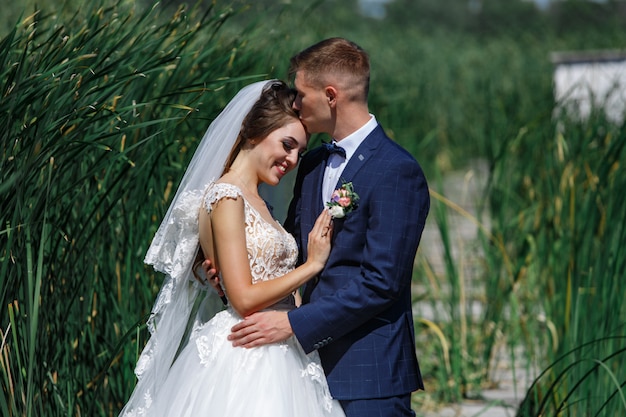 As noivas sorridentes abraçam gentilmente e se beijam ao ar livre. Jovem casal apaixonado desfruta rach outro na caminhada na natureza. noiva e noivo caminha na grama alta ao ar livre.