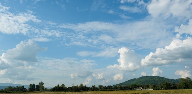 As nuvens brancas têm uma forma pitoresca e rural O céu está nublado e azul