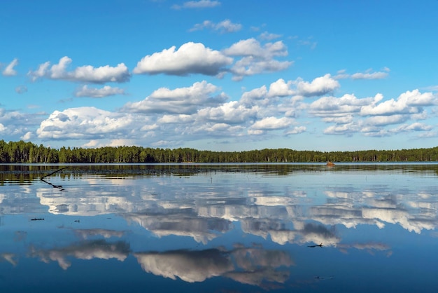 As nuvens são refletidas na superfície da água O lago é grande região de Vsevolozhsk Leningrado