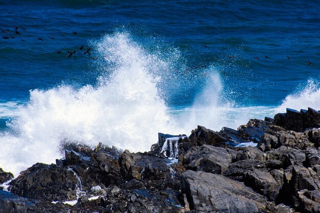 Foto as ondas a bater nas rochas