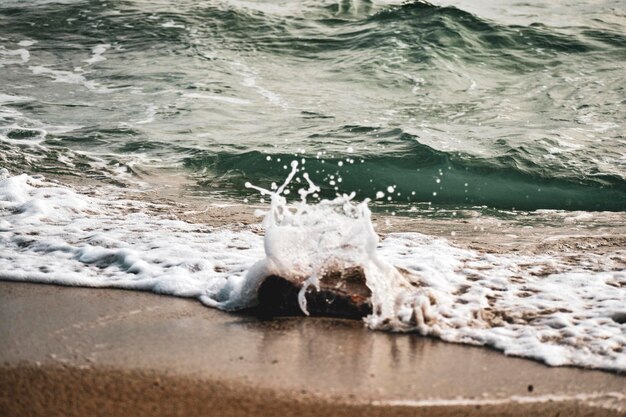 As ondas batem com salpicos na costa