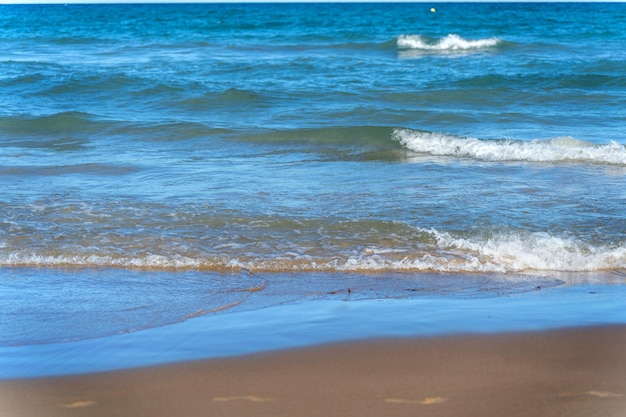 As ondas da praia em movimento este verão