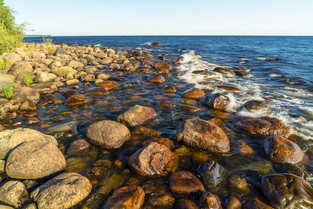 As ondas quebram em pedregulhos na margem do Lago Ladoga. Vidlitsa. Karelia.