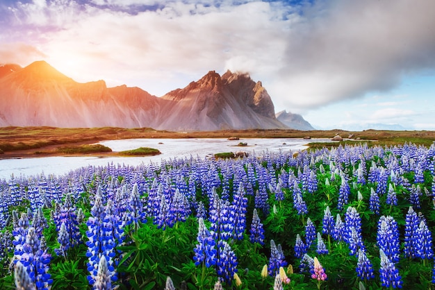 As paisagens pitorescas florestas e montanhas da Islândia