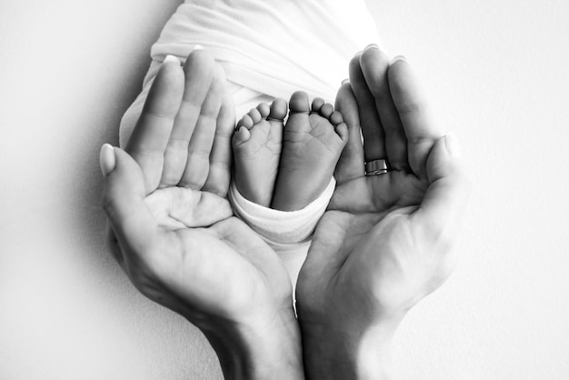 As palmas dos pais Um pai e uma mãe seguram um bebê recém-nascido pelas pernas Os pés de um recém-nascido nas mãos dos pais Foto de calcanhares e dedos do pé Foto macro de estúdio preto e branco