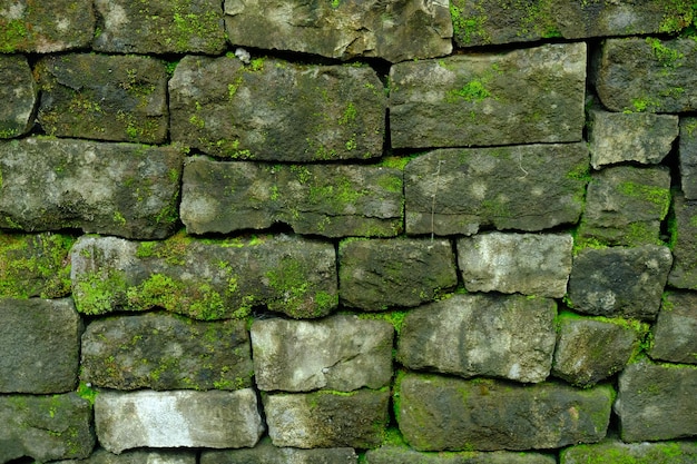 as paredes da casa são feitas de pilhas de blocos de pedra andesita cobertos de musgo de plantas selvagens