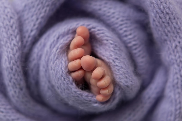 As pernas do bebê estão envoltas em um cobertor roxo doce vida nova