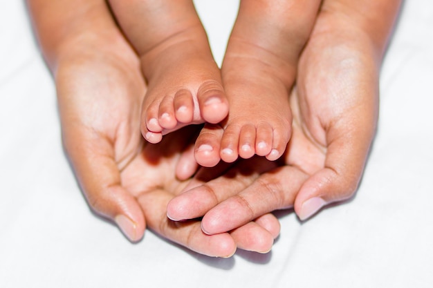 As pernas macias de um bebê colocadas na palma das duas mãos da mãe em um fundo branco