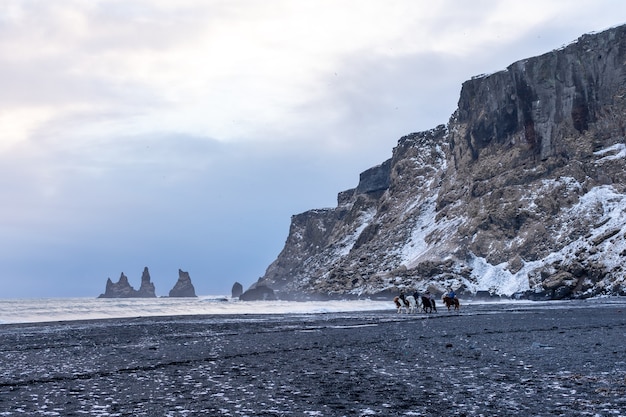 Foto as pessoas andam a cavalo em uma praia negra de vik e veem as ondas do inverno no oceano atlântico