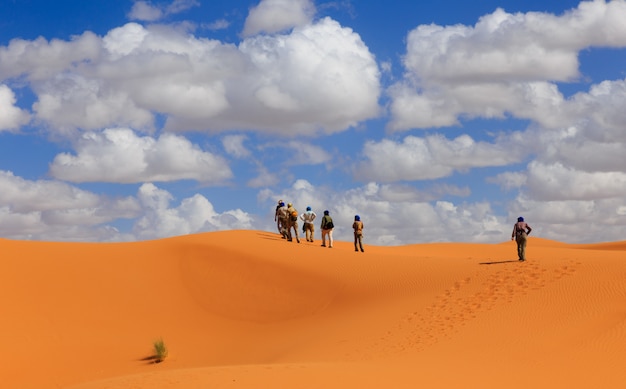 As pessoas andam do deserto do Saara