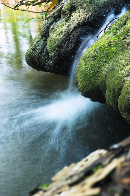 As rochas têm uma cachoeira que flui na floresta natural.