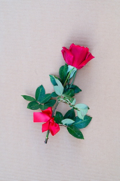 Foto as rosas frescas vermelhas escuras na terra tonificam o fundo neutro