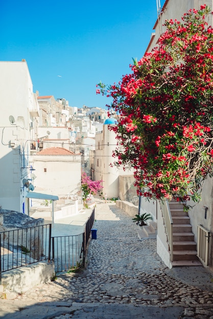 As ruas estreitas da ilha com varandas azuis, escadas e flores.