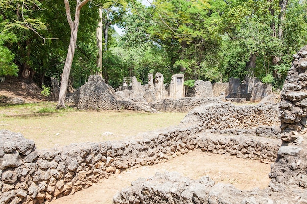 Foto as ruínas de gede no quênia são os restos de uma cidade suaíli, típica da maioria das cidades ao longo da costa leste da áfrica