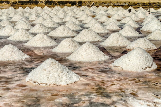 As salinas cênicas de Motya perto de Trapani Sicília Itália