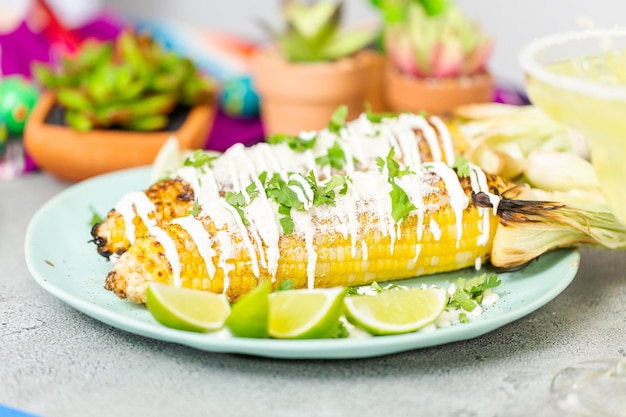 Asar elote de maíz callejero mexicano adornado con especias y cilantro fresco en un plato para servir.