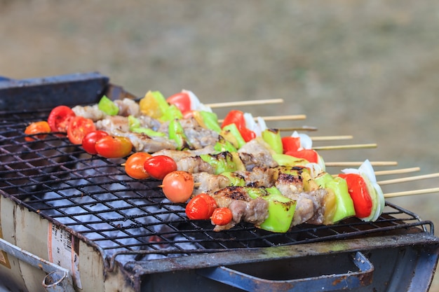 Asar a la parrilla shashlik en barbacoa