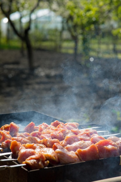 Asar a la parrilla shashlik en barbacoa