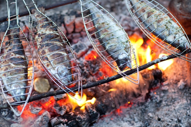 Asar pescado en fogata