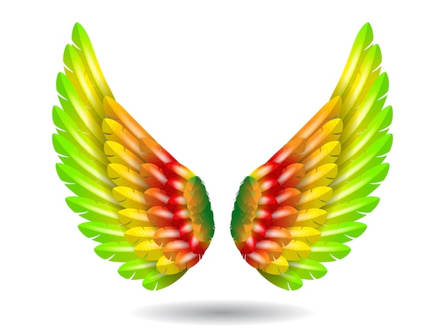 Foto asas de anjo de arco-íris realistas isoladas ilustração 3d