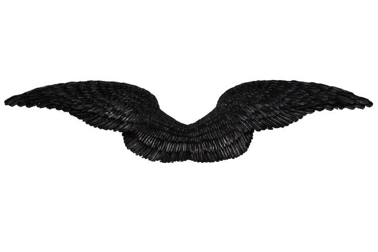 Foto asas de anjo negro isoladas em fundo branco
