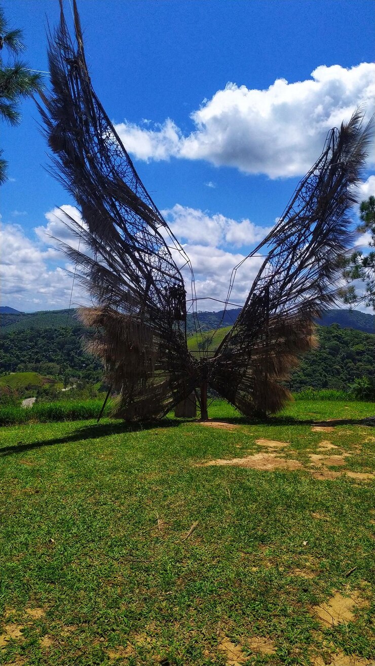 Foto asas de borboleta escultura natureza céu em vassouras