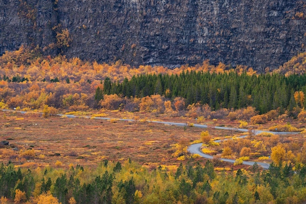 Asbyrgi tiefer Canyon und Kurvenstraße im Herbst in Nordisland