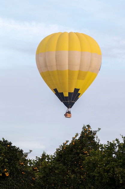 Ascensión del festival de globos aerostáticos.