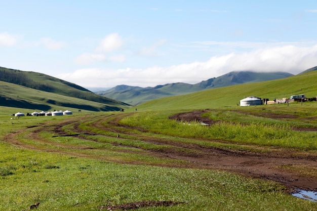 Asentamiento hecho de gers en medio de las estepas de Mongolia