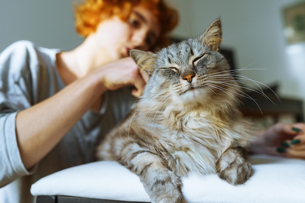 El aseo de los gatos domésticos