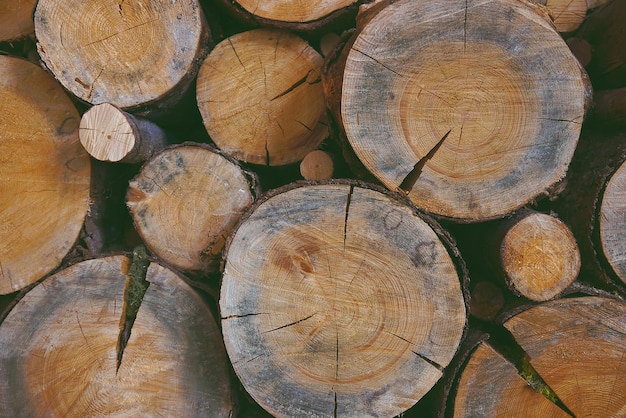 Aserradero, Fondo de textura de madera, Troncos