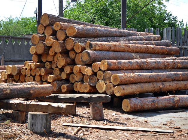 Aserradero. Pila de madera de almacén de troncos de pino para aserrar vigas tablas de madera al aire libre