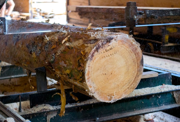 Aserradero. Proceso de mecanizado de troncos en equipos de aserradero sierra de máquina aserra el tronco del árbol en las tablas de tablones. Trabajo de aserrín de madera aserrado madera madera carpintería de madera