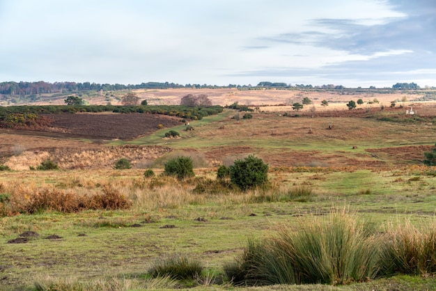 ASHDOWN FOREST, SUSSEX / UK - NOVEMBER 17: Vista outonal da Ashdown Forest em East Sussex em 17 de novembro de 2019. Duas pessoas não identificadas