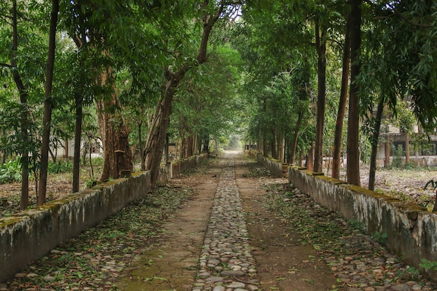 Ashram de maharishi mahesh yogi