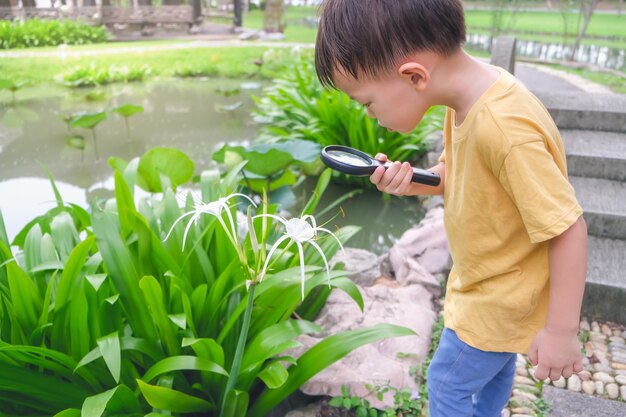 Asiático 3-4 anos de idade criança bebê menino explorar o ambiente, olhando através de uma lupa em dia ensolarado no belo jardim