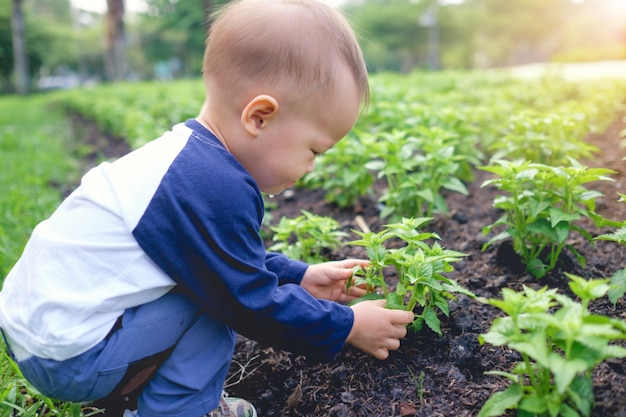 Asiático pequeno bonito 18 meses / 1 ano de idade criança bebê menino plantando árvore jovem em solo preto no jardim verde