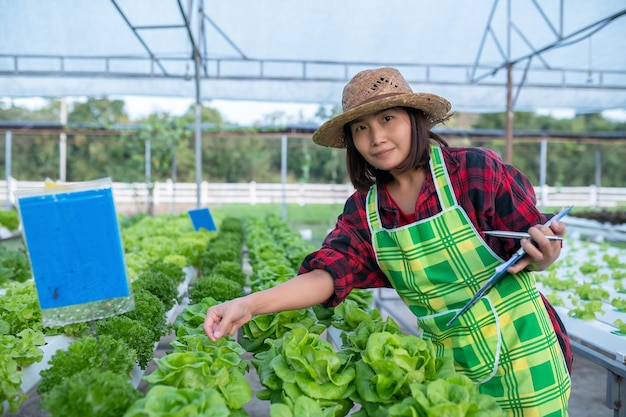 Asiatische Bäuerin, die auf der Salatfarm arbeitetPlanting Bio-Hydrokulturgemüse für kleine Unternehmen