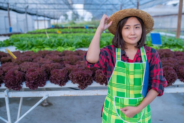 Asiatische Bäuerin, die auf der Salatfarm arbeitetPlanting Bio-Hydrokulturgemüse für kleine Unternehmen