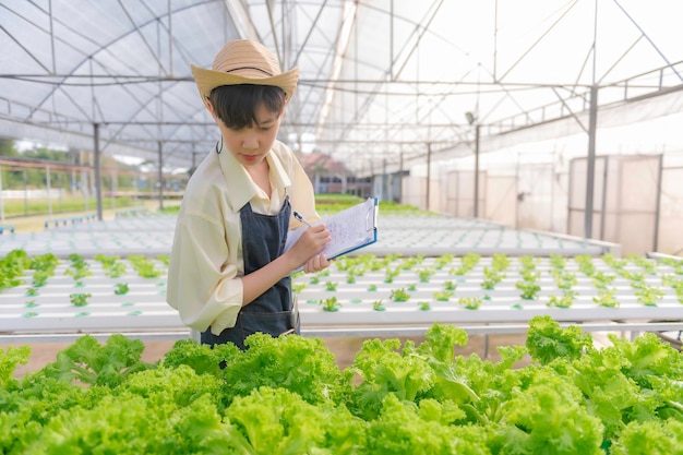 Asiatische Bäuerin, die auf der Salatfarm arbeitetWeibliches Asien Anbau von Gemüse für einen Großhandel auf dem Frischmarkt
