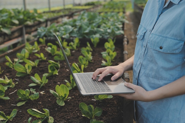 Asiatische Bäuerin nutzt digitales Tablet im Gemüsegarten im Gewächshaus. Business-Agrikultur-Technologie-Konzept, Qualität, intelligenter Landwirt