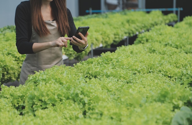 Asiatische Bäuerin nutzt digitales Tablet im Gemüsegarten im Gewächshaus. Business-Agrikultur-Technologie-Konzept, Qualität, intelligenter Landwirt