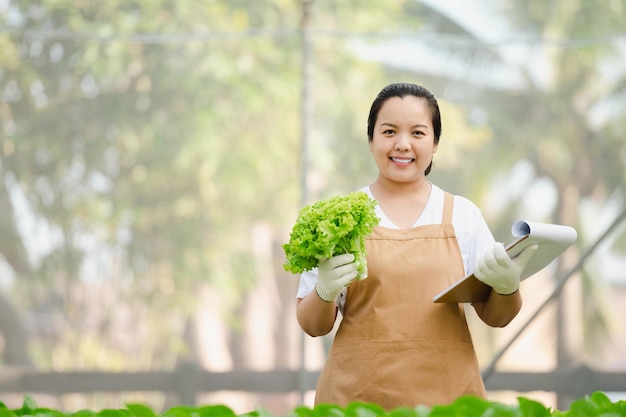 Asiatische Bäuerin zeigt Qualitätsgemüse in Bio-Gemüse-Hydroponik-Farm. Plantagenkonzept.