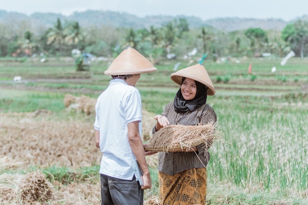 Asiatische Bäuerinnen zeigen ihre Reiserträge männlichen Bauern auf Reisfeldern