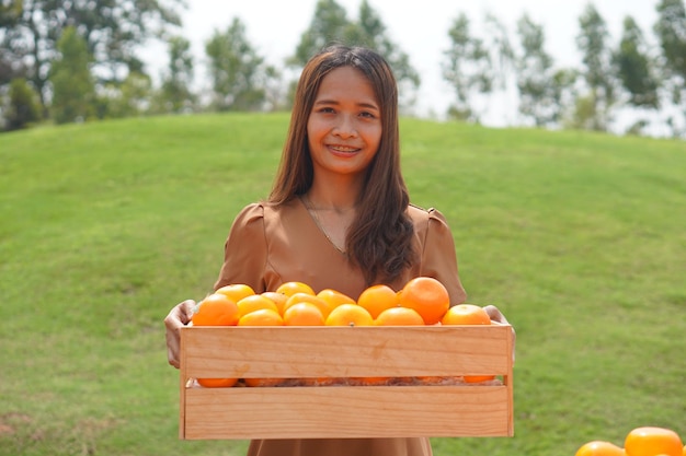 Asiatische Frau, die einen Korb mit Orangen auf einem Gebiet anhebt